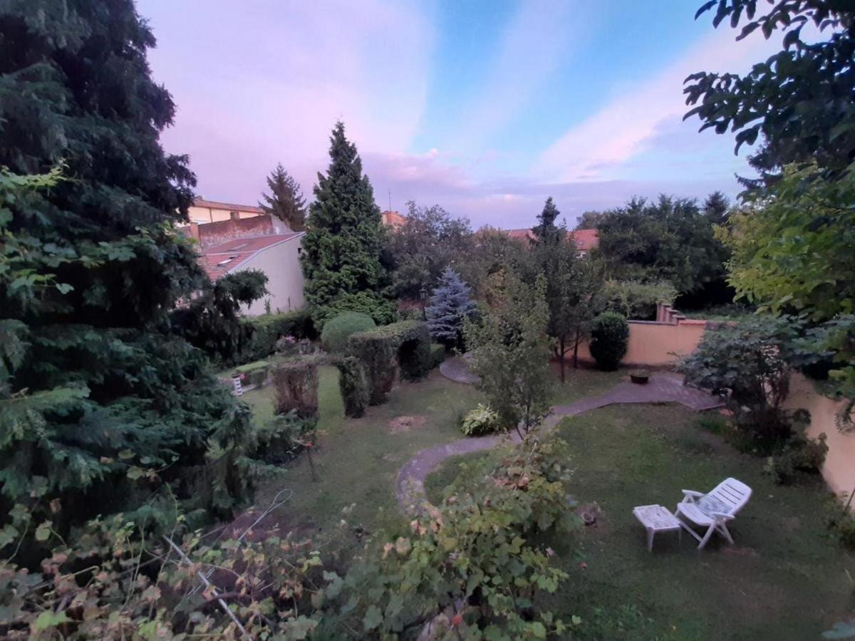 Appartamento Cocic Garden Ossero Esterno foto