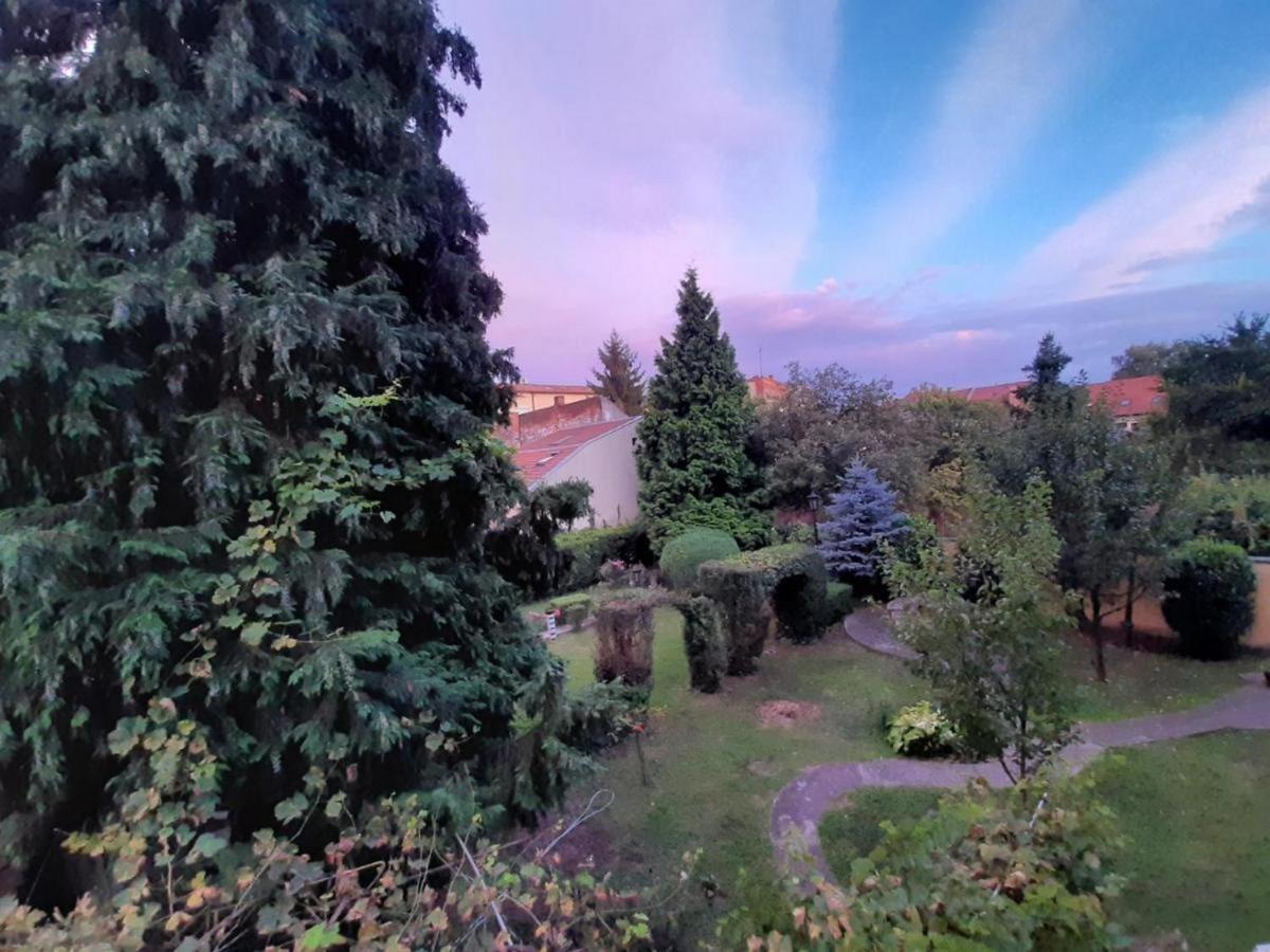 Appartamento Cocic Garden Ossero Esterno foto