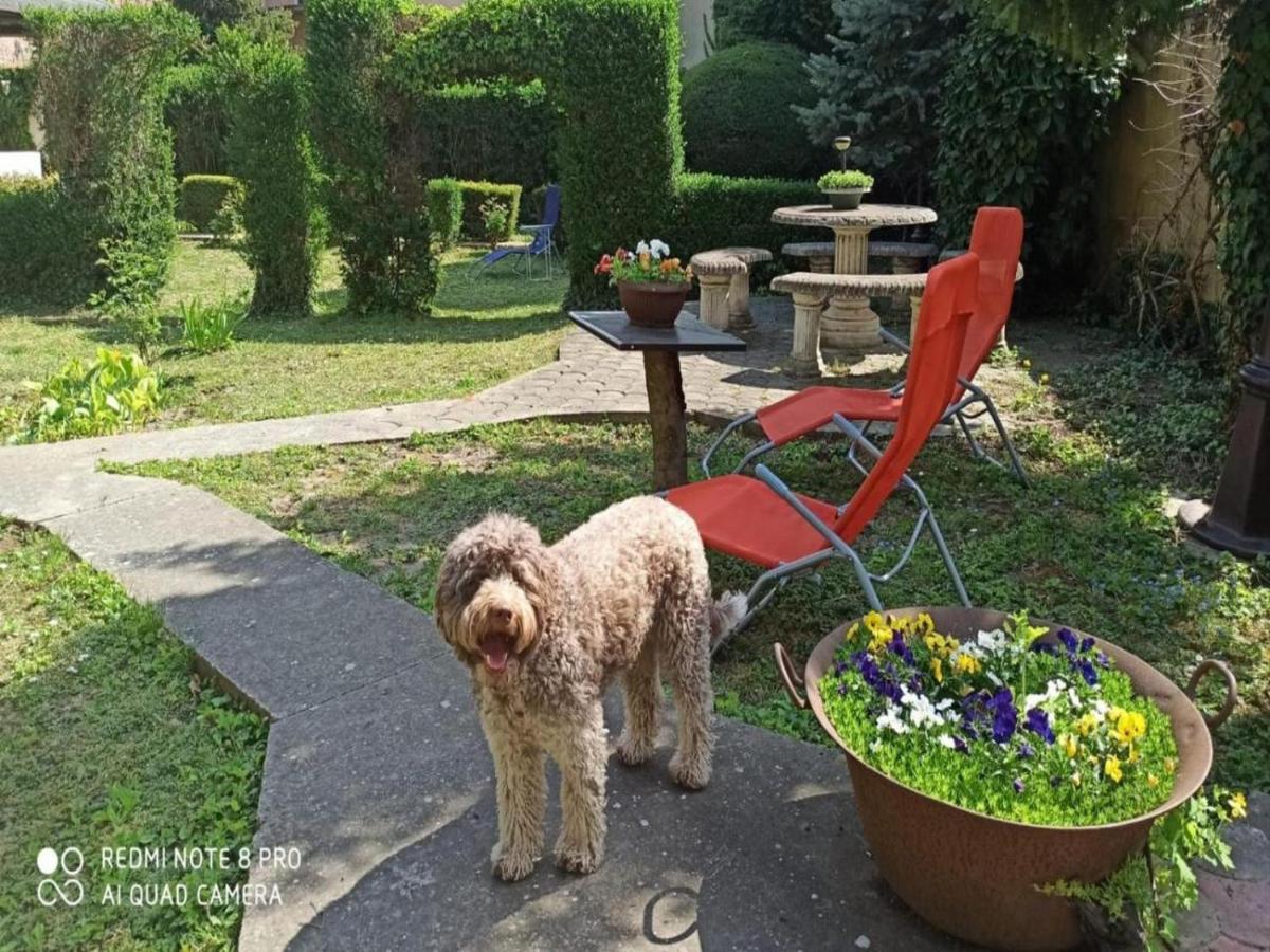 Appartamento Cocic Garden Ossero Esterno foto